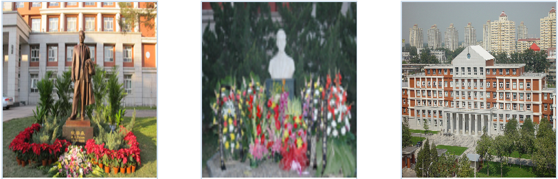 1-.png